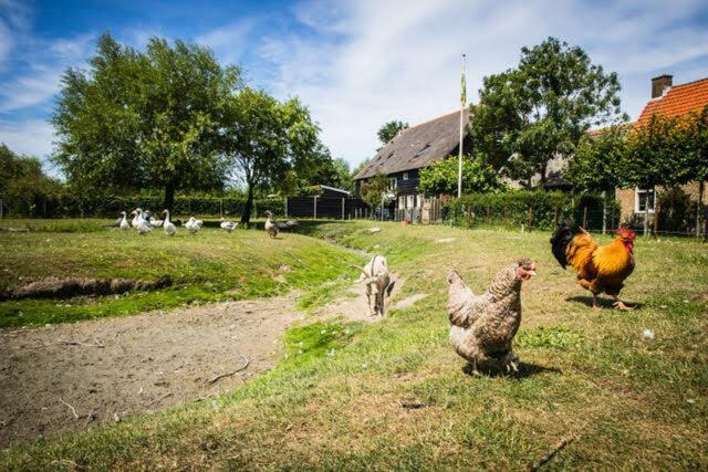 Vakantiewoning - Kon. Emmaweg 26 | Vrouwenpolder 'Uitspanning Oranjezon' Екстериор снимка