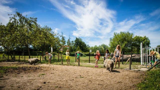 Vakantiewoning - Kon. Emmaweg 26 | Vrouwenpolder 'Uitspanning Oranjezon' Екстериор снимка