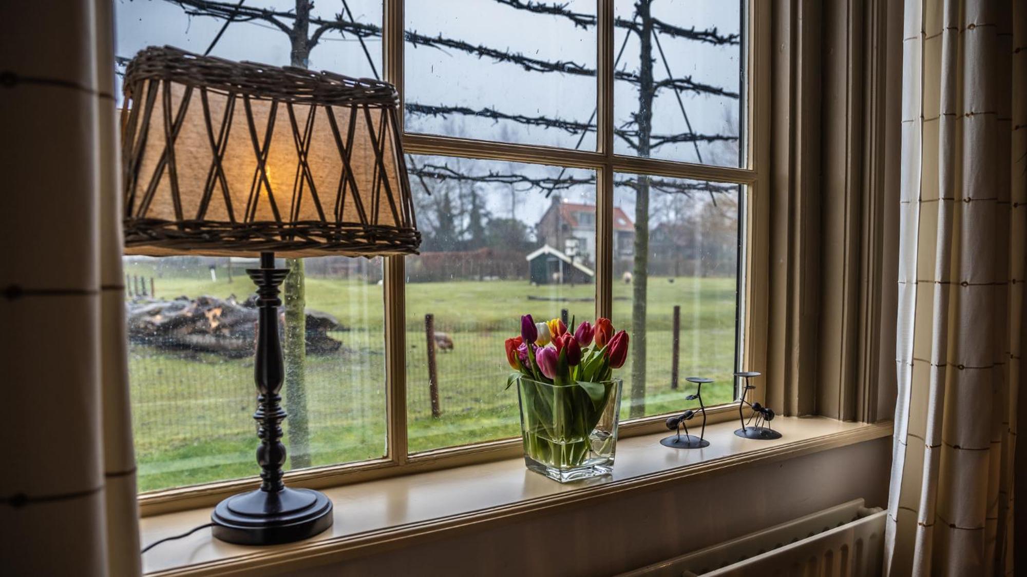 Vakantiewoning - Kon. Emmaweg 26 | Vrouwenpolder 'Uitspanning Oranjezon' Екстериор снимка